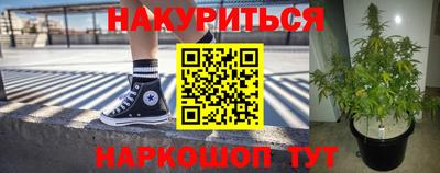 ГАЛЛЮЦИНОГЕННЫЕ ГРИБЫ Пугачёв