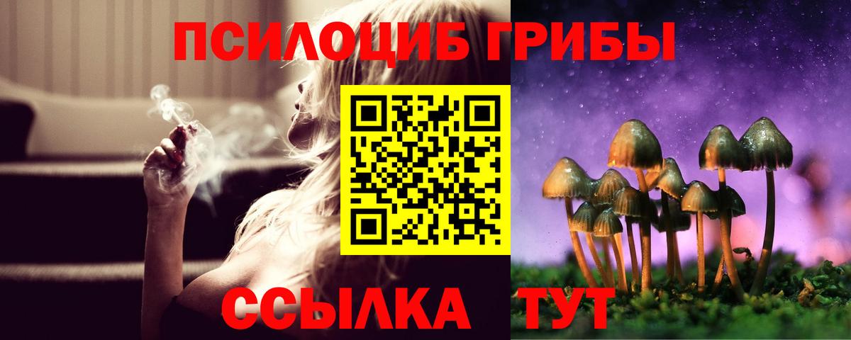 Пенза  Псилоцибиновые грибы мухоморы  Вход с VPN  Галлюциногенные грибы мицелий 