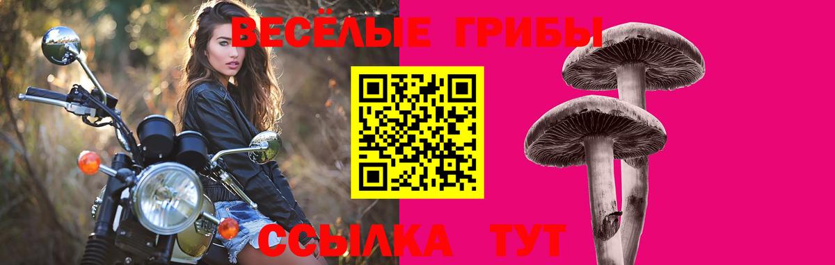 Галлюциногенные грибы GOLDEN TEACHER Пенза